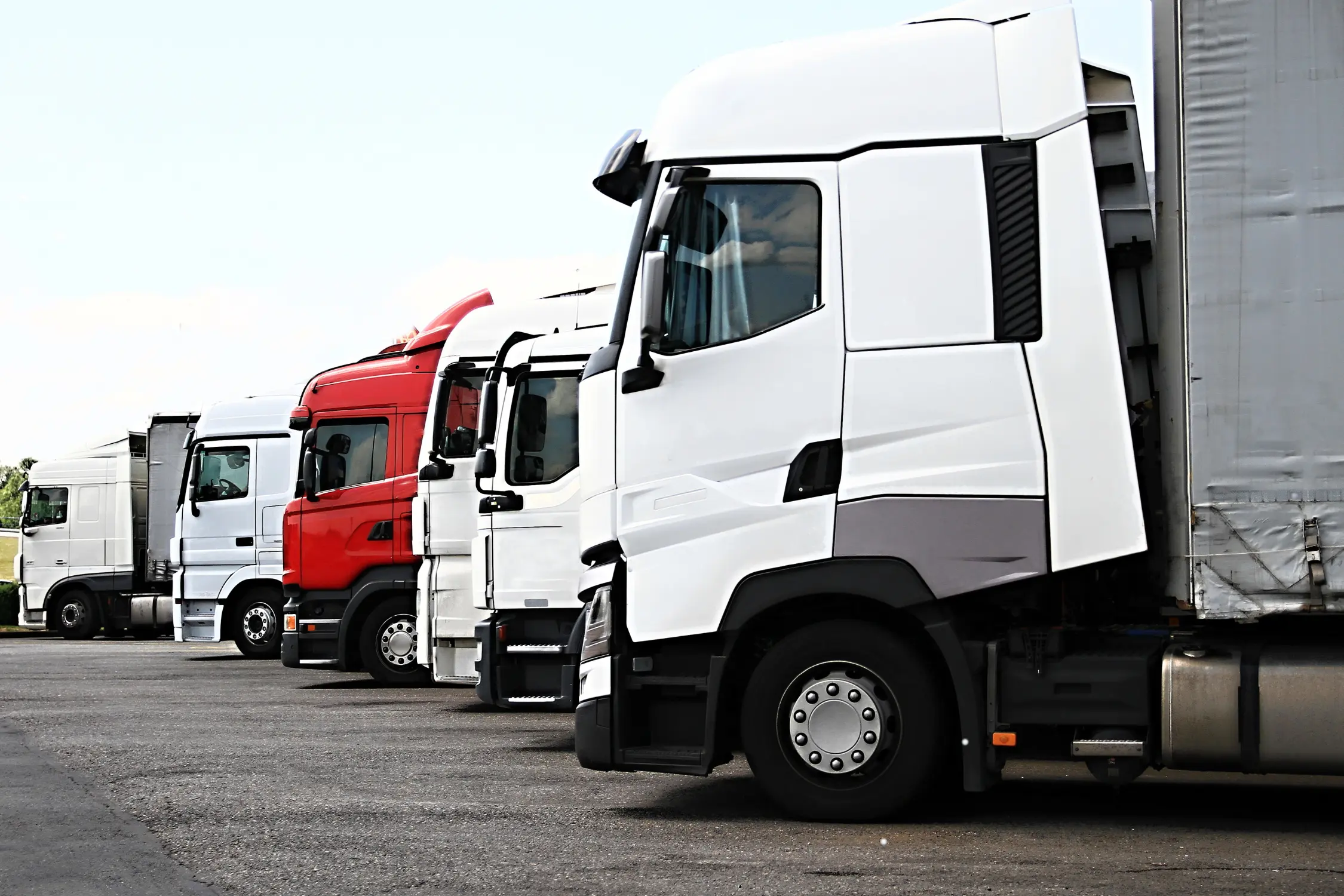 express delivery in Leicester